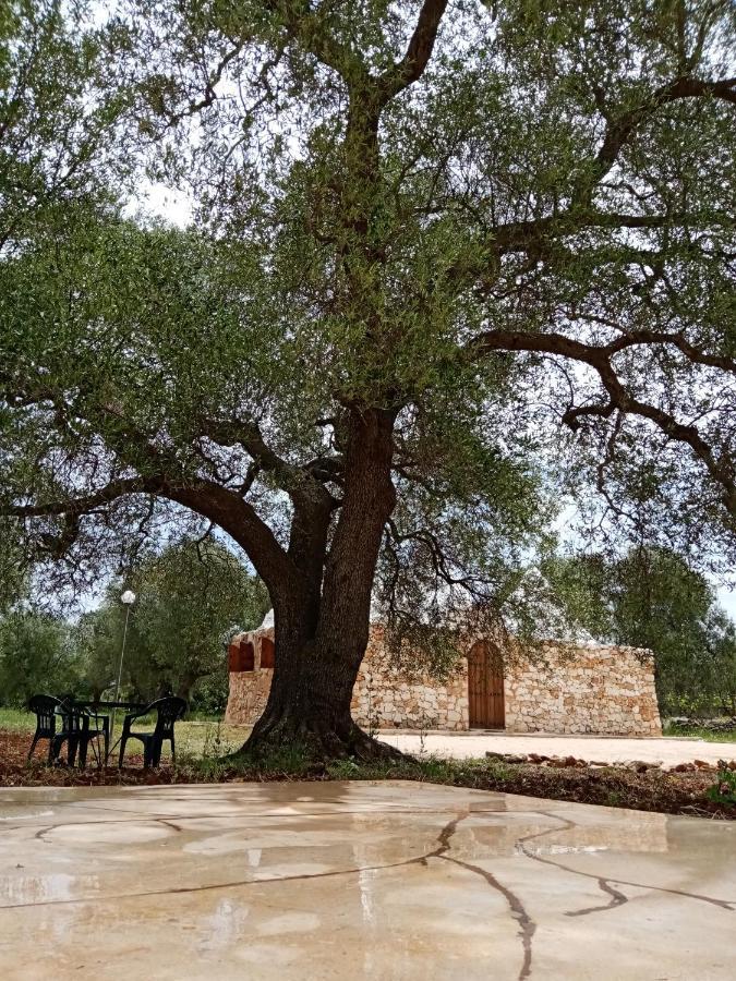 Trulli Monte Madre Villa ซานวีโต เดย์ นอร์มานนี ภายนอก รูปภาพ