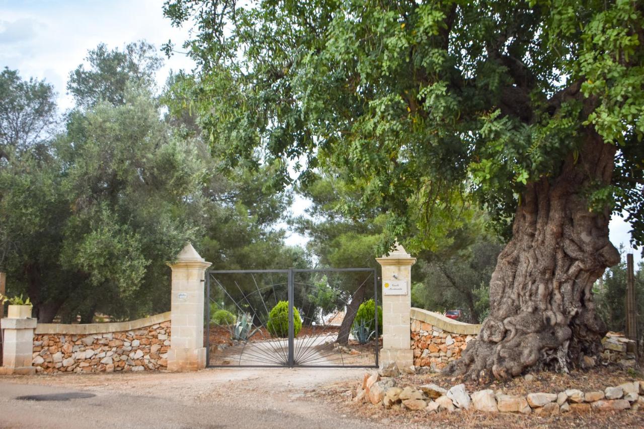 Trulli Monte Madre Villa ซานวีโต เดย์ นอร์มานนี ภายนอก รูปภาพ