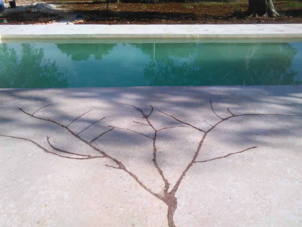 Trulli Monte Madre Villa ซานวีโต เดย์ นอร์มานนี ภายนอก รูปภาพ